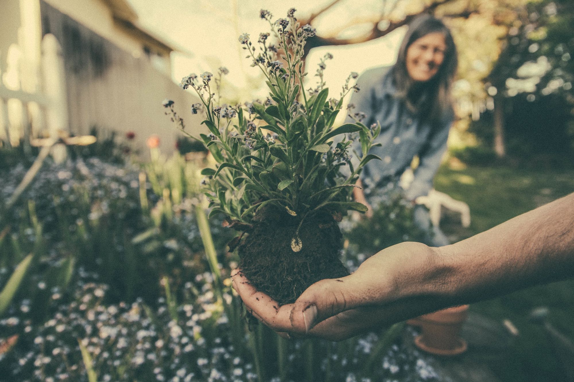 Do gardening or arrange flowers