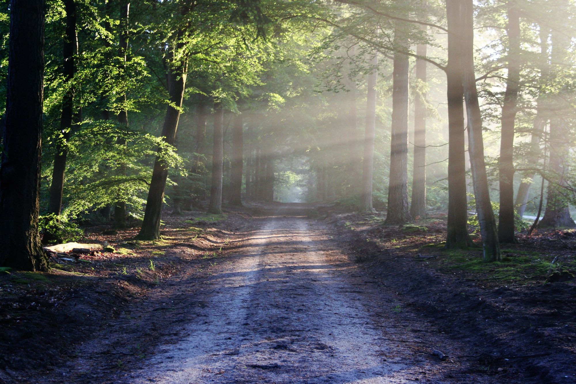 Maak een wandeling